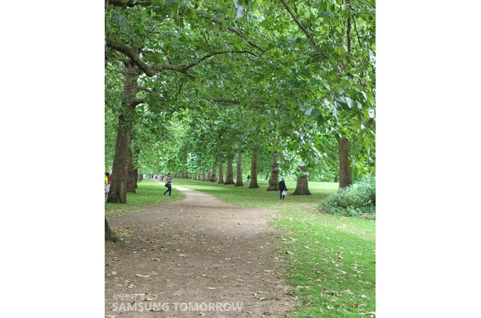 세인트 제임스 공원 산보