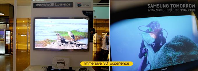 Immersive 3D Experience