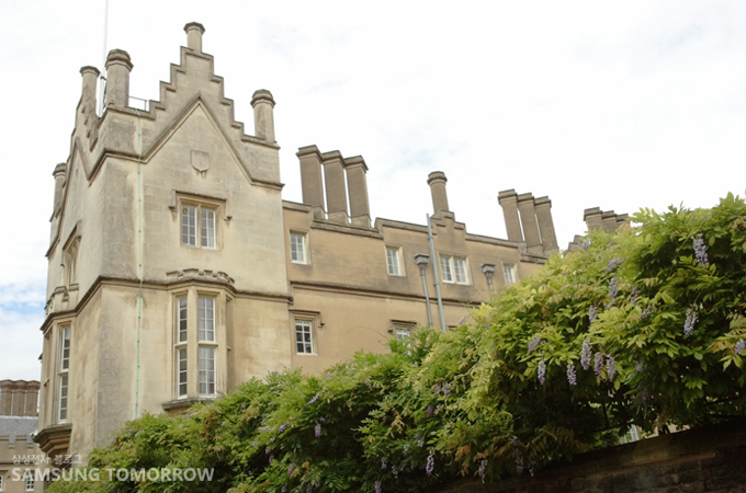 케임브리지 내 단과대학