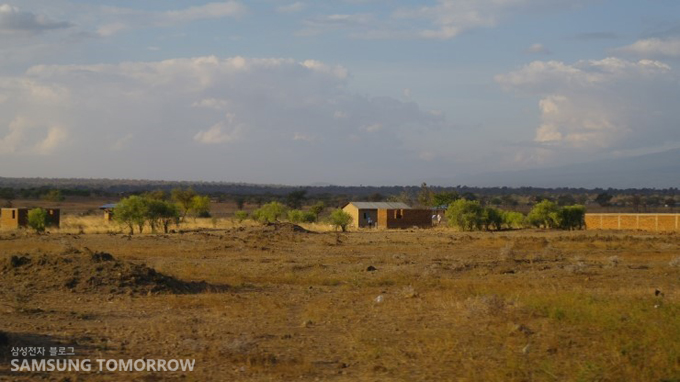 탄자니아 이루샤