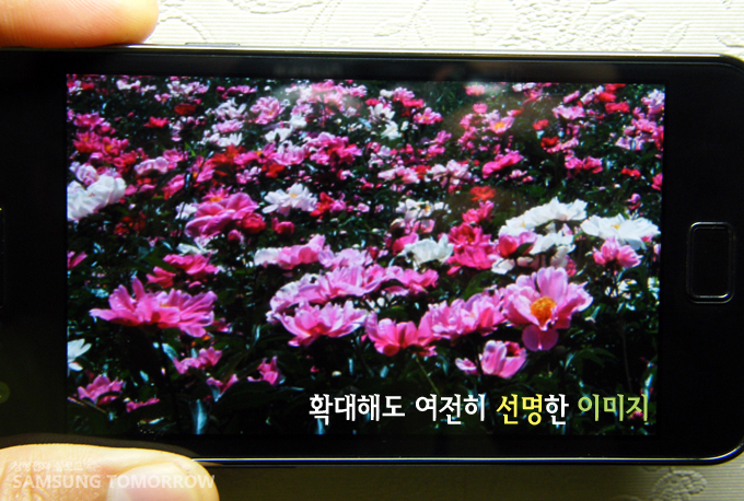 확대해도 여전히 선명한 이미지