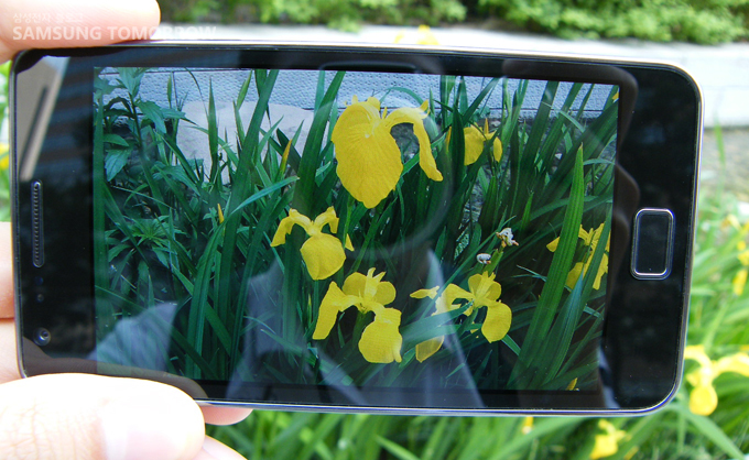 갤럭시S2로 사진을 찍는 모습