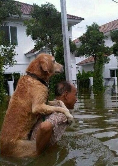 사진출처: 트위터@chabuenconsejo