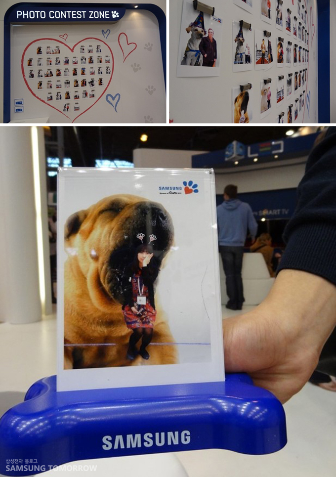 Photo contest zone, 크로마키를 이용한 강아지들과의 합성 사진 이벤트
