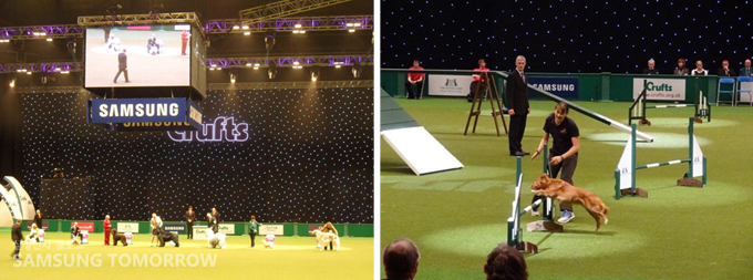 the best in show 현장