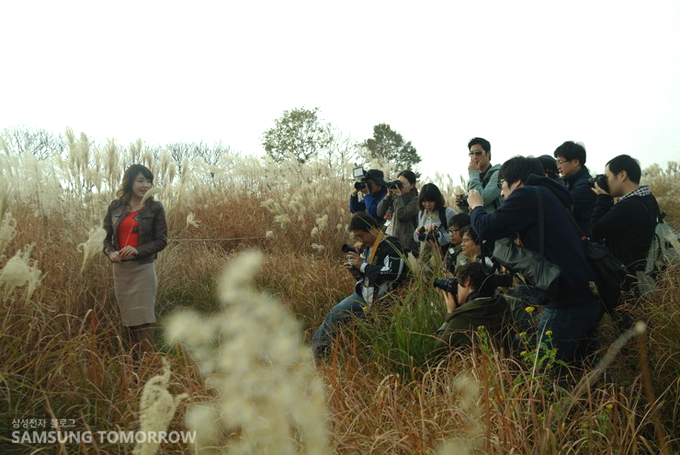 억새밭의 모델을 찍는 수많은 사람들