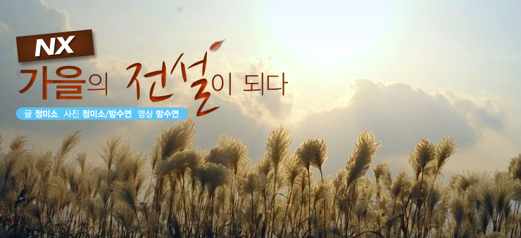 NX 가을의 전설이 되다