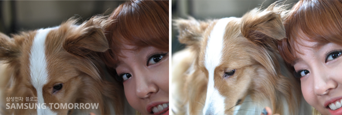 강아지와 윤하의 셀카