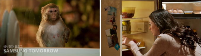 원숭이와 냉장고