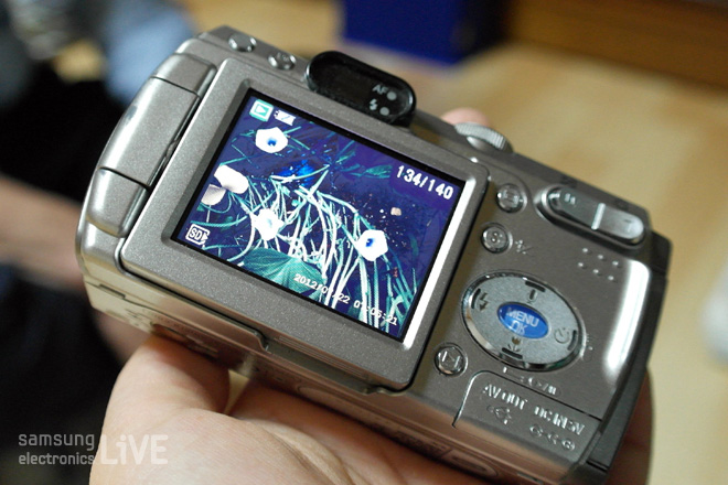 고구마꽃을 찍은 ㅏ진