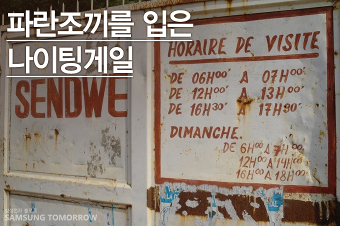 파란조끼를 입은 나이팅게일