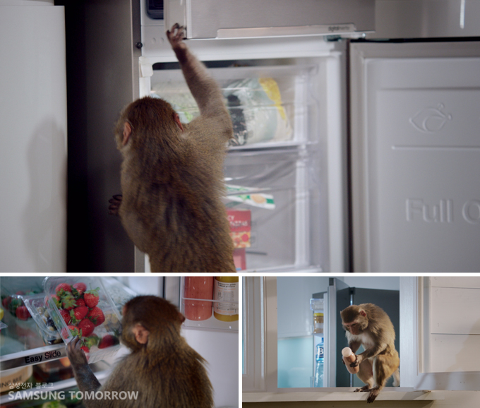 원숨이가 냉장고에서 음식들을 꺼내는 모습