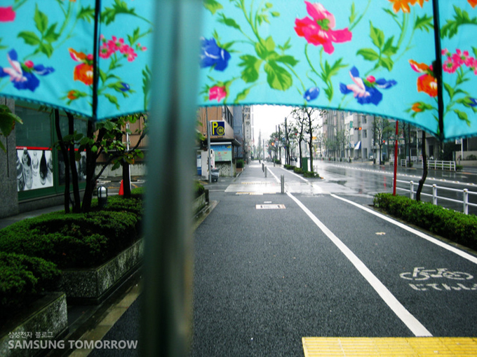 비오는 날의 우산