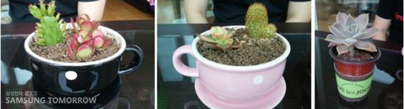 인테리어 소품 화분에 옮겨 놓은 다육이들ㅋㅋ