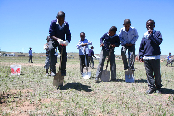 나무심는 아이들