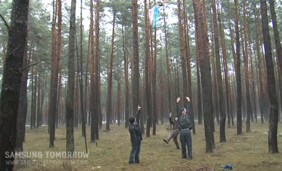 나무에 추락한 비행기