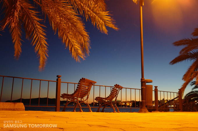 벤치가 있는 야경