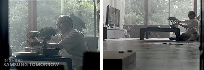 원예를 가꾸는 할아버지의 모습