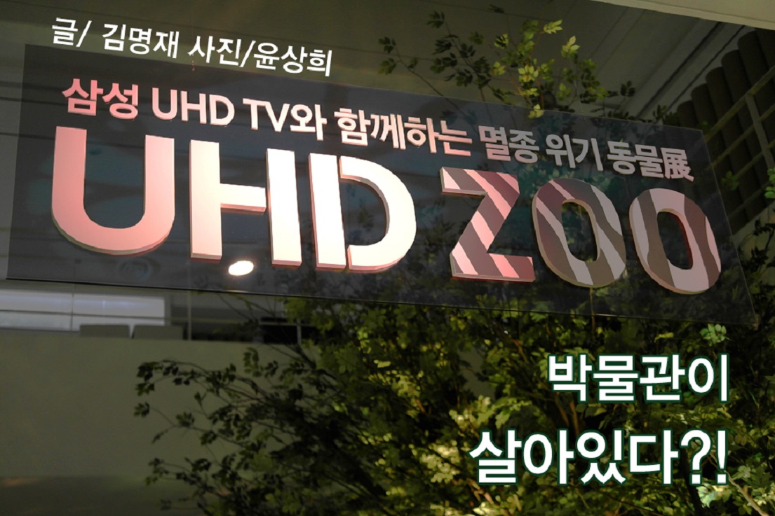 박물관이 살아있다?!