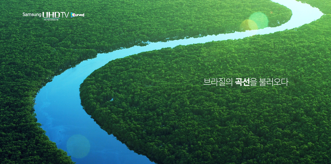 브라질의 곡선을 불러오다