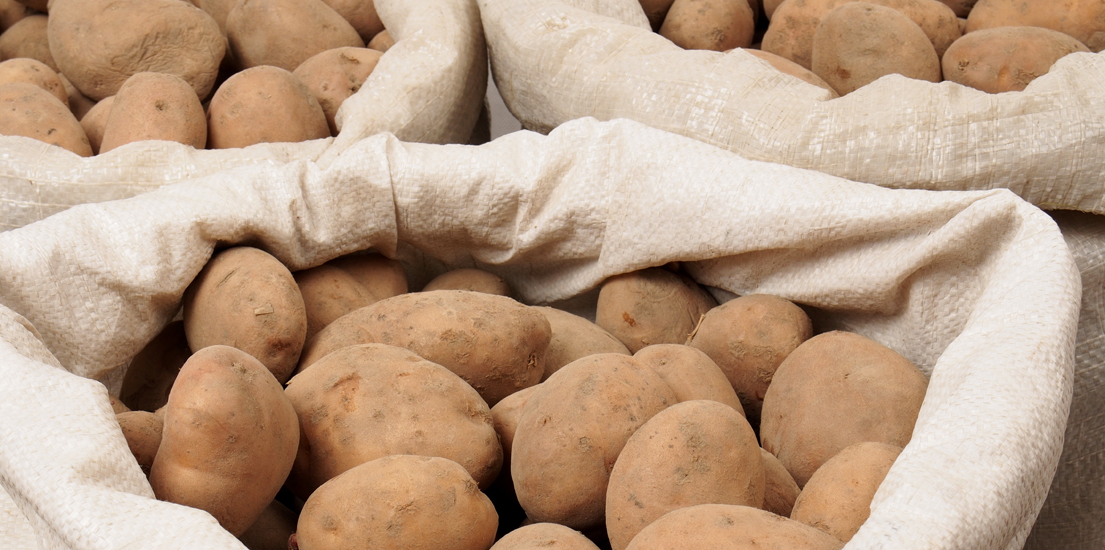 삼성전자가 '1석 3조 착한 감자' 캠페인을 펼쳤습니다.