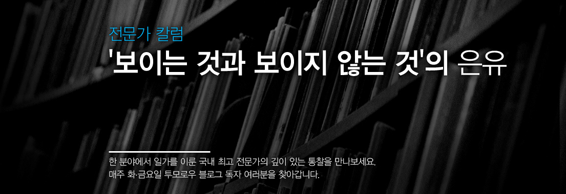 전문가 칼럼 '보이는 것과 보이지 않는 것'의 은유 한 분야에서 일가를 이룬 국내 최고 전문가의 깊이 있는 통찰을 만나보세요. 매주 화·금요일 투모로우 블로그 독자 여러분을 찾아갑니다.