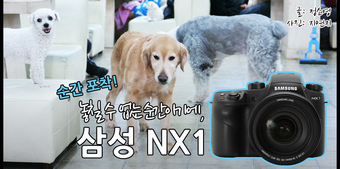 순간 포착! 놓칠 수 없는 순간이기에, 삼성 NX1