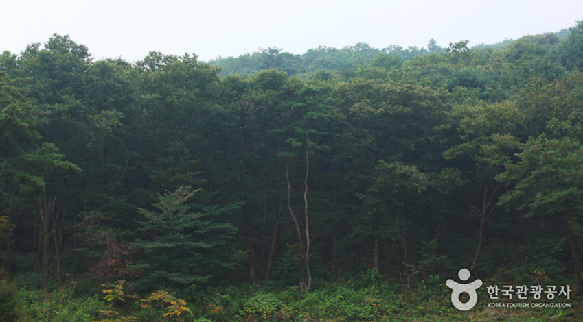 동두천 왕방산의 모습입니다.