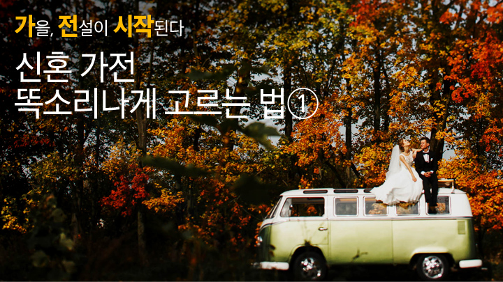 [가을 혼수 가전 특집] 냉장고, 똑소리 나게 고르는 법