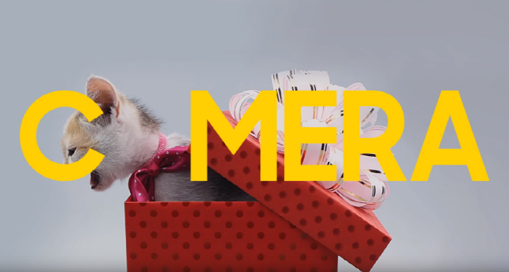 갤럭시 A와 함께라면 나도 인스타그래머 ②동물 편