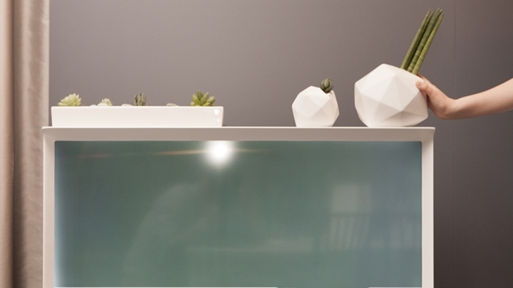 이주연 플로리스트가 월동자라는 다육식물과 각진 모양의 화분으로 완성한 데코템