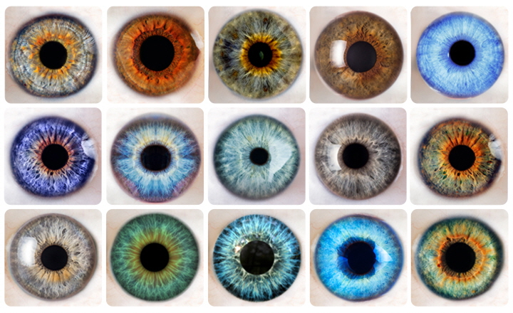 다양한 사람들의 눈(색깔, 크기 등 모든 것이 다르다)