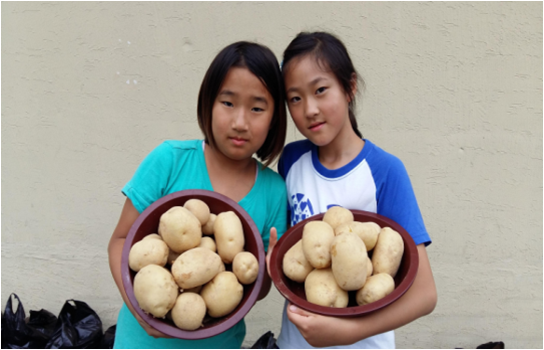 삼성초등학교 학생들