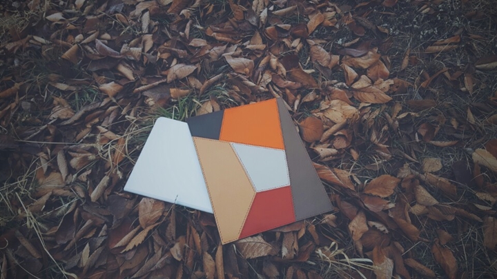 낙엽 위에 가죽 클러치 이미지