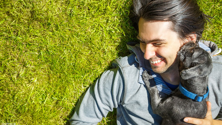 스페셜 리포트 반려견 섬네일 이미지