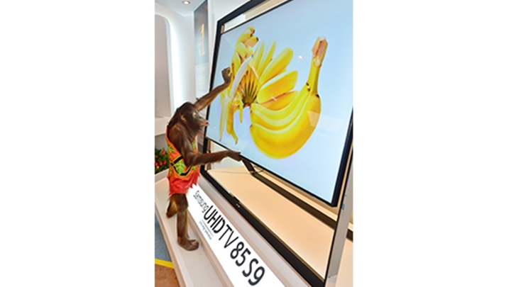 용인 에버랜드에서 UHDㆍ스마트 TV와 함께 봄맞이 가족행사 개최