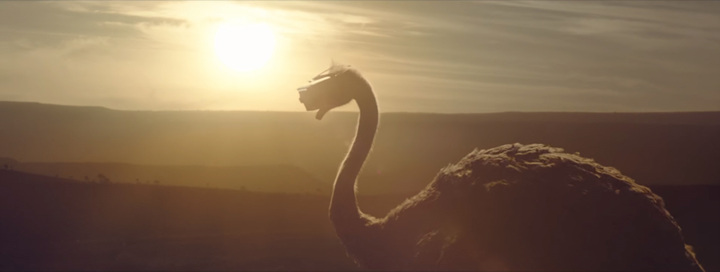 삼성전자 브랜드 광고 타조의 꿈 섬네일