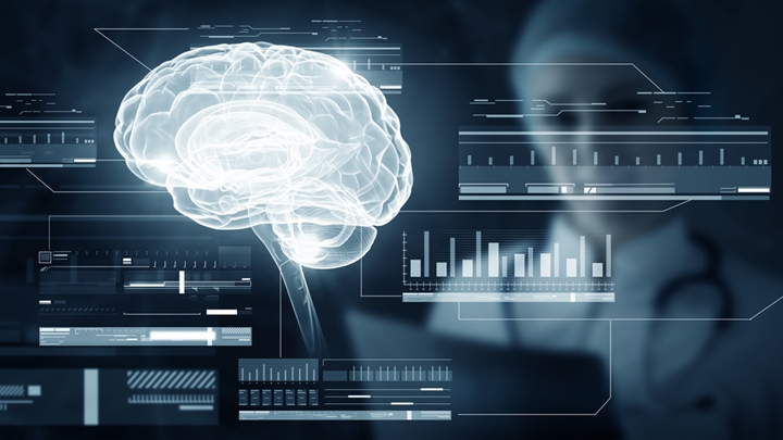 뇌 과학 이미지 썸네일