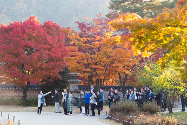 삼성전자 프리미엄 고객과 함께한 가을 나들이