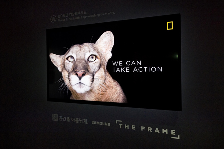 멸종 위기 동물 사진