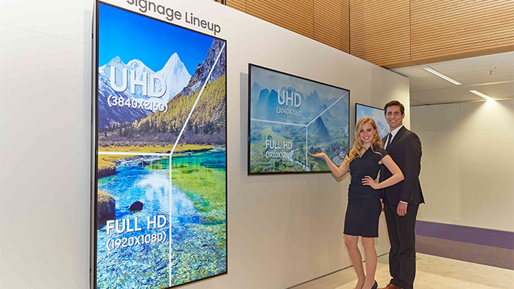 더 월 프로페셔널