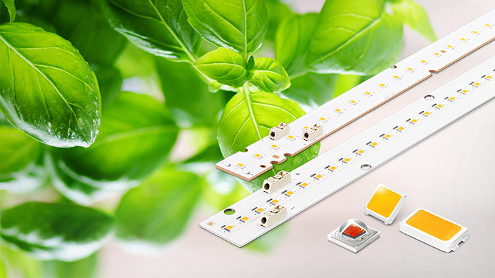 식물생장용 LED 패키지 및 모듈