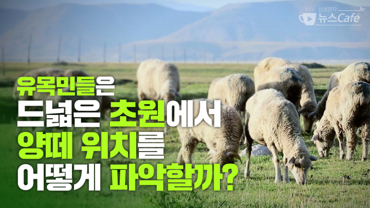 유목민들은 드넓은 초원에서 양떼 위치를 어떻게 파악할까?