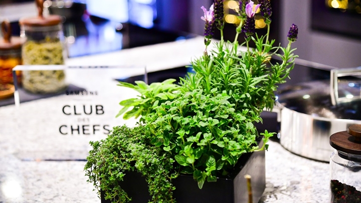 ▲ 녹색 식물은 공간에 생동감을 준다. 녹색 식물로 공간을 꾸미는 ‘플랜테리어(플랜트(plant)와 인테리어(interior)의 합성어)’로 다소 무게감이 느껴지는 블랙 톤의 주방에 활기를 더한다.