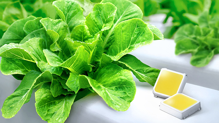 삼성전자, 식물 생장용 백색 LED 업계 최고 효율 달성