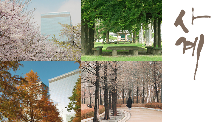 삼성전자 캠퍼스의 사계