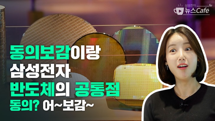 동의보감이랑 삼성전자 반도체의 공통점 동의? 어~보감~