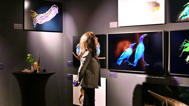 삼성전자 라이프스타일TV 내셔널지오그래픽 멸종위기동물사진전(1)