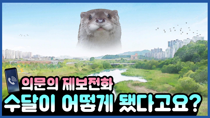 의문의 제보전화 수달이 어떻게 됐다고요?