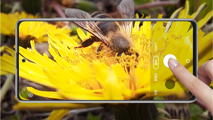 갤럭시로 촬영한 접사 이미지